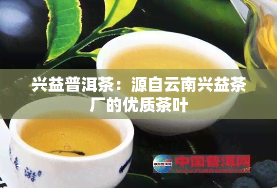 兴益普洱茶：源自云南兴益茶厂的优质茶叶