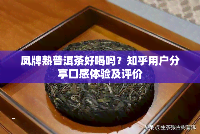 凤牌熟普洱茶好喝吗？知乎用户分享口感体验及评价