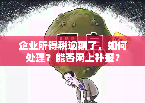 企业所得税逾期了，如何处理？能否网上补报？