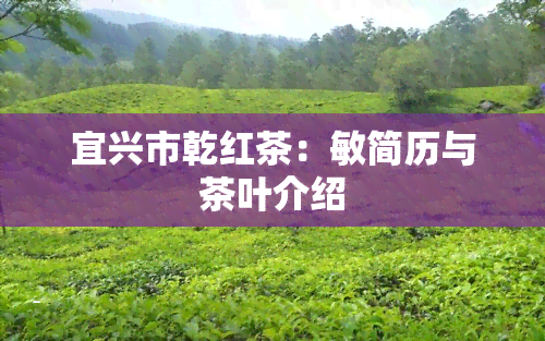 宜兴市乾红茶：敏简历与茶叶介绍