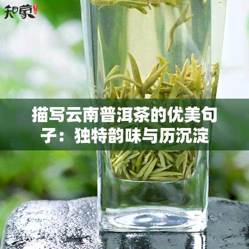 描写云南普洱茶的优美句子：独特韵味与历沉淀