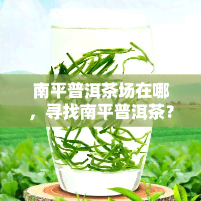 南平普洱茶场在哪，寻找南平普洱茶？场位置全在这！