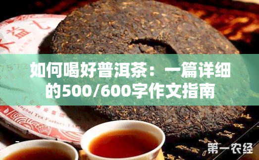 如何喝好普洱茶：一篇详细的500/600字作文指南