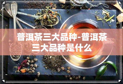 普洱茶三大品种-普洱茶三大品种是什么