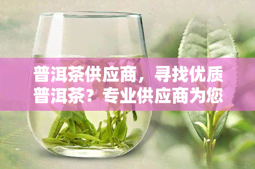 普洱茶供应商，寻找优质普洱茶？专业供应商为您提供一站式服务！