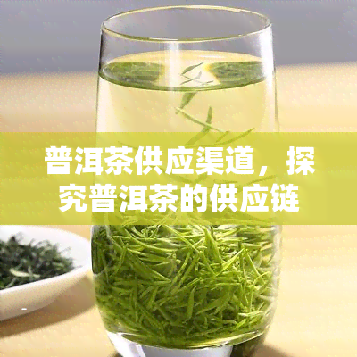 普洱茶供应渠道，探究普洱茶的供应链：从茶园到杯中