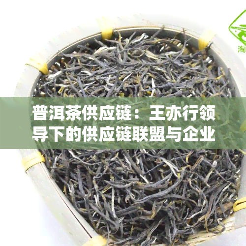 普洱茶供应链：王亦行领导下的供应链联盟与企业发展