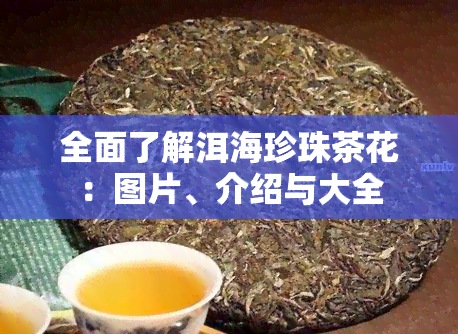 全面了解洱海珍珠茶花：图片、介绍与大全