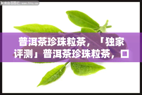 普洱茶珍珠粒茶，「独家评测」普洱茶珍珠粒茶，口感惊艳，你值得拥有！