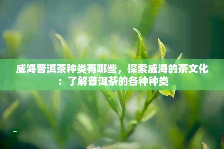 威海普洱茶种类有哪些，探索威海的茶文化：了解普洱茶的各种种类