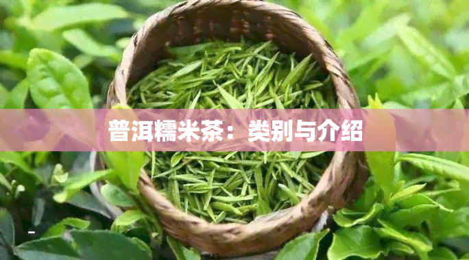 普洱糯米茶：类别与介绍