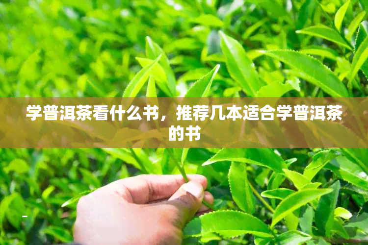 学普洱茶看什么书，推荐几本适合学普洱茶的书