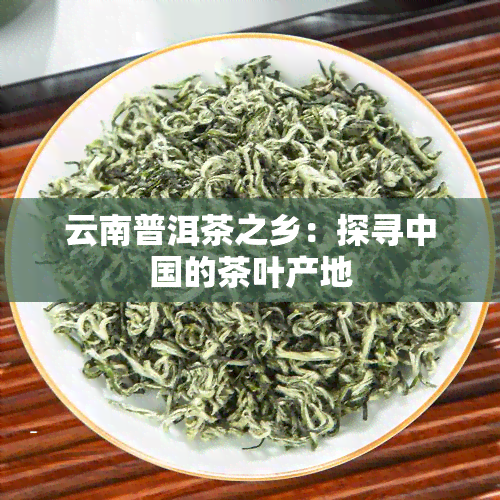 云南普洱茶之乡：探寻中国的茶叶产地