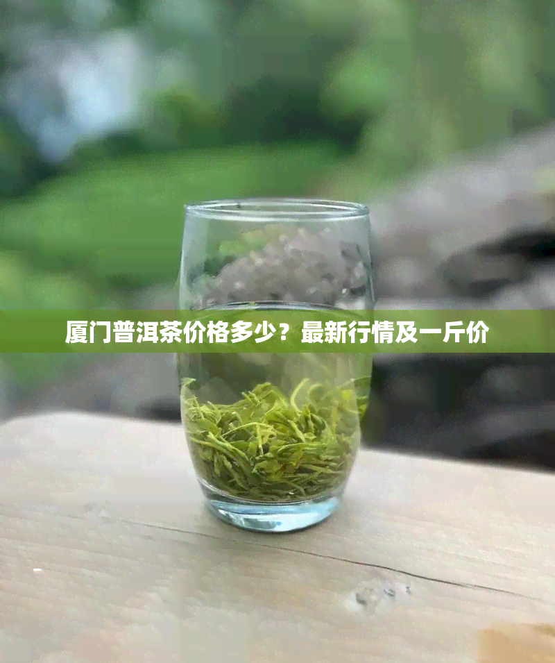 厦门普洱茶价格多少？最新行情及一斤价