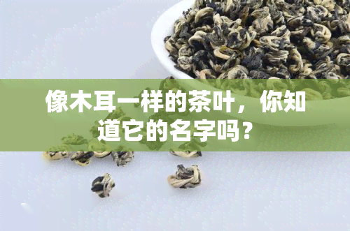 像木耳一样的茶叶，你知道它的名字吗？