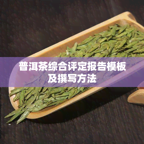 普洱茶综合评定报告模板及撰写方法