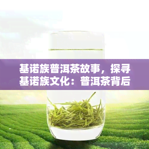 基诺族普洱茶故事，探寻基诺族文化：普洱茶背后的神秘故事