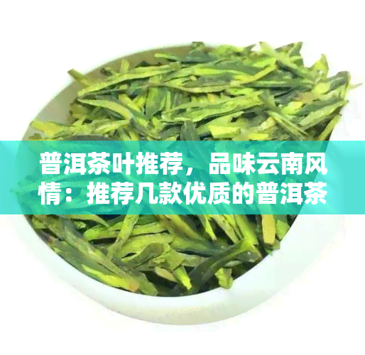 普洱茶叶推荐，品味云南风情：推荐几款优质的普洱茶叶