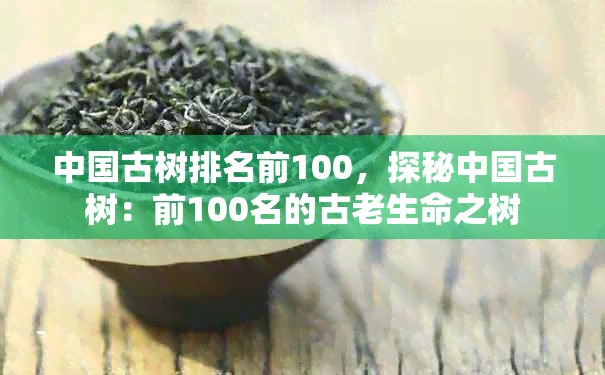 中国古树排名前100，探秘中国古树：前100名的古老生命之树