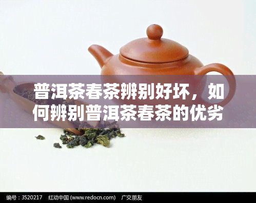 普洱茶春茶辨别好坏，如何辨别普洱茶春茶的优劣？