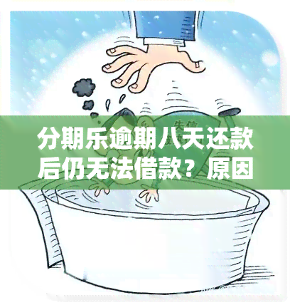 分期乐逾期八天还款后仍无法借款？原因解析