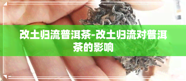 改土归流普洱茶-改土归流对普洱茶的影响