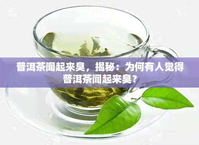 普洱茶闻起来臭，揭秘：为何有人觉得普洱茶闻起来臭？