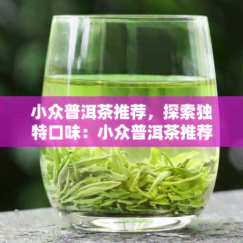 小众普洱茶推荐，探索独特口味：小众普洱茶推荐