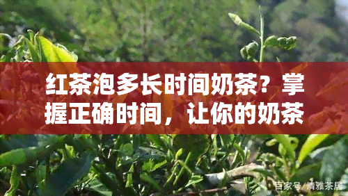 红茶泡多长时间奶茶？掌握正确时间，让你的奶茶口感更佳！