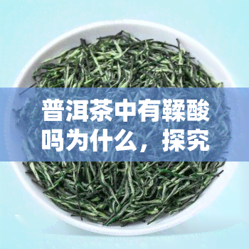 普洱茶中有鞣酸吗为什么，探究普洱茶中的鞣酸：原因与影响