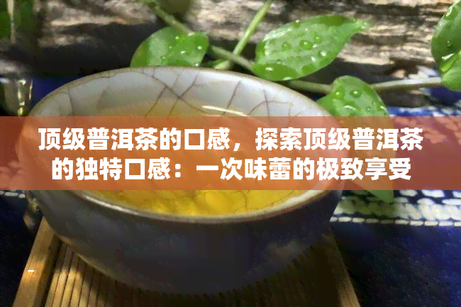 顶级普洱茶的口感，探索顶级普洱茶的独特口感：一次味蕾的极致享受