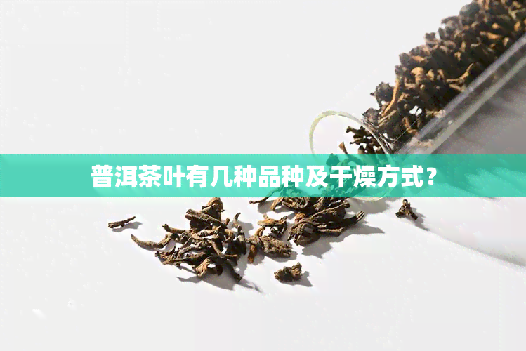 普洱茶叶有几种品种及干燥方式？