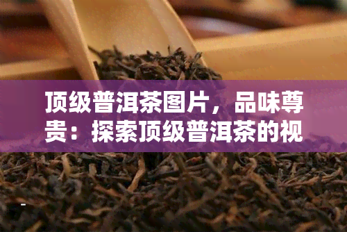 顶级普洱茶图片，品味尊贵：探索顶级普洱茶的视觉宴