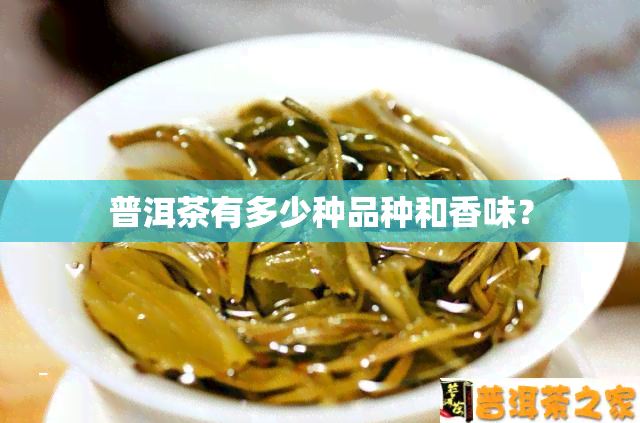 普洱茶有多少种品种和香味？