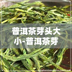 普洱茶芽头大小-普洱茶芽头大小区别