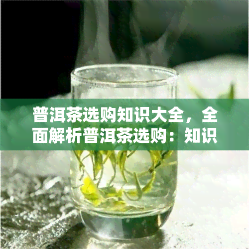 普洱茶选购知识大全，全面解析普洱茶选购：知识大全带你成为品鉴高手！