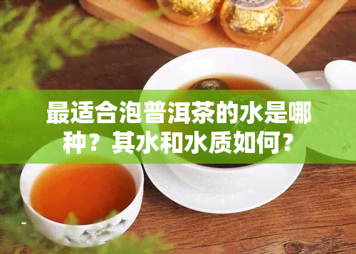 最适合泡普洱茶的水是哪种？其水和水质如何？