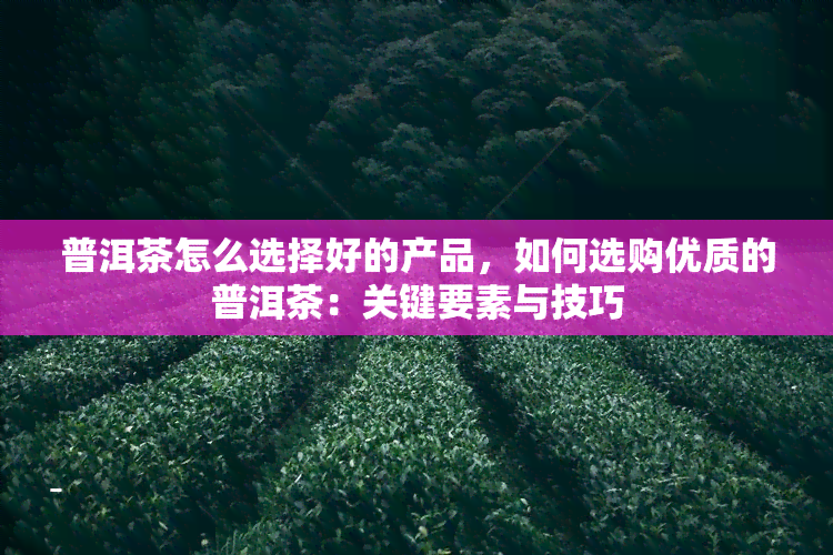 普洱茶怎么选择好的产品，如何选购优质的普洱茶：关键要素与技巧