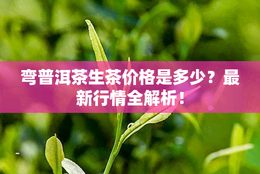 弯普洱茶生茶价格是多少？最新行情全解析！