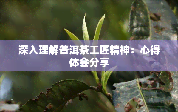 深入理解普洱茶工匠精神：心得体会分享