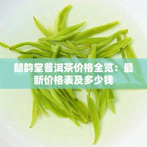 朗韵堂普洱茶价格全览：最新价格表及多少钱