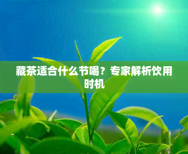 藏茶适合什么节喝？专家解析饮用时机