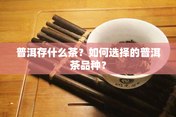 普洱存什么茶？如何选择的普洱茶品种？