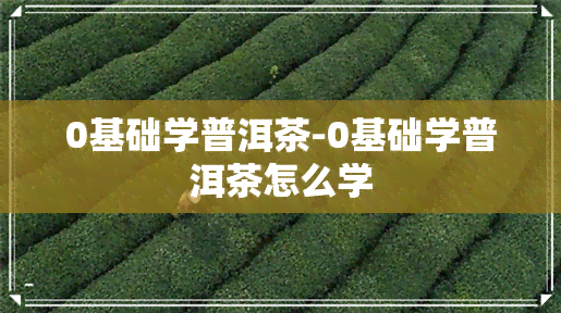 0基础学普洱茶-0基础学普洱茶怎么学