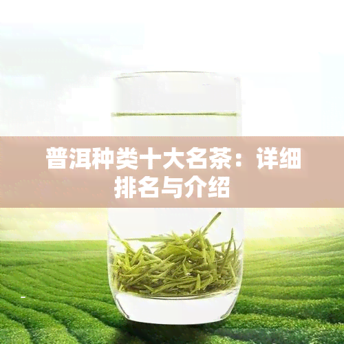 普洱种类十大名茶：详细排名与介绍