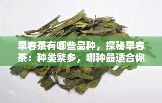 早春茶有哪些品种，探秘早春茶：种类繁多，哪种最适合你？