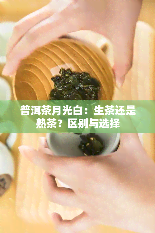 普洱茶月光白：生茶还是熟茶？区别与选择