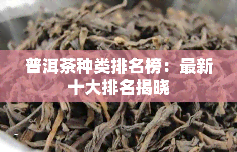 普洱茶种类排名榜：最新十大排名揭晓