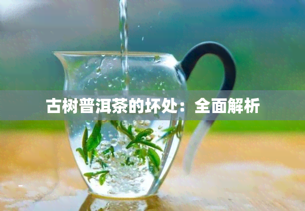 古树普洱茶的坏处：全面解析