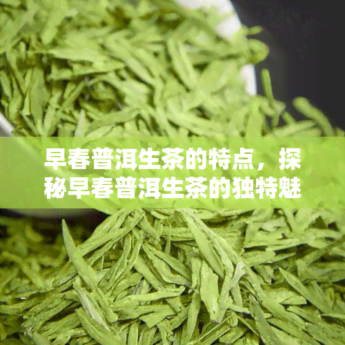 早春普洱生茶的特点，探秘早春普洱生茶的独特魅力